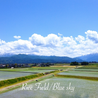 富山の澄んだ自然のもとで育む農産物